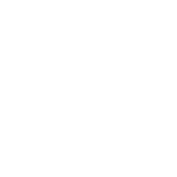 WristGPT